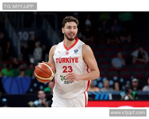 2024年欧洲杯预选赛附加赛规则详解及参赛队伍资格分析