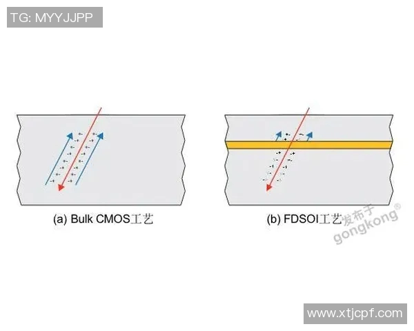 体育单招培训的优势与价值分析助你成功入学的关键因素
