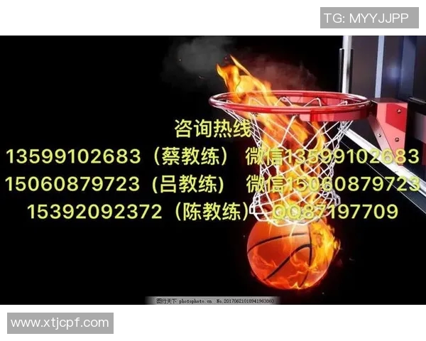 启明星篮球跑路事件深度解析与影响探讨